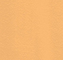 Линолеум Mural Ultra 4116 Apricot фото 1 | FLOORDEALER